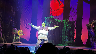 Tiago Abravanel usa 200 próteses e leva cerca de 3 horas para se transformar em Shrek no teatro