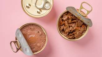 Alimentos úmidos contribuem com a hidratação dos pets