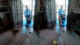 A astronauta Christina Koch, parte da equipe enviada ao lado oculto da Lua, retornou para sua companheira animal depois de dez dias separadas