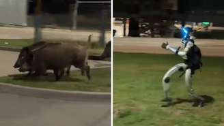 Um robô humanoide bípede que emite luzes azuis é visto em um vídeo que circula nas redes sociais perseguindo javalis em uma área residencial de Varsóvia, na Polônia