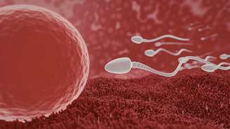 Estudo internacional revela que a motilidade dos espermatozoides muda conforme as estações, podendo influenciar a fertilidade masculina