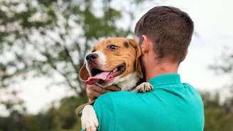 Nova lei regulamenta a guarda compartilhada de pets em separações no Brasil e define regras sobre convivência, custos e proteção do animal