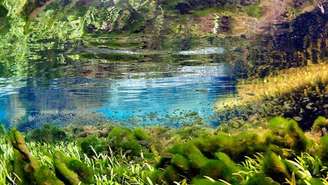 Descubra o Rio Sucuri em Bonito, eleito o 3º mais cristalino do mundo