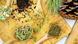 Aprenda a usar as ervas frias para equilibrar suas emoções e revitalizar sua energia. Guia prático de banhos e conexão com os Orixás; confira