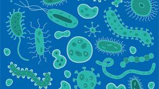 Bactérias resistentes podem se espalhar rapidamente, tornando infecções comuns mais difíceis e caras de tratar – depositphotos.com / AndyFrith