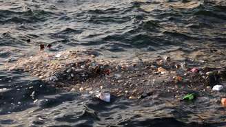 Animais marinhos confundem plástico com alimento, levando a impactos graves na cadeia alimentar – Reprodução