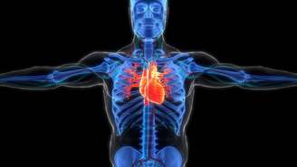 Níveis de NAD caem com o envelhecimento.A estratégia: reposição – depositphotos.com / magicmine