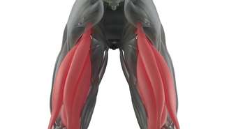 O diagnóstico por ressonância ajuda a definir a gravidade da lesão nos isquiotibiais e o melhor tipo de tratamento – depositphotos.com / AnatomyInsider