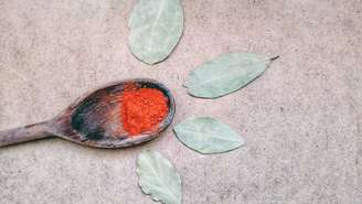 Conheça os benefícios da poderosa folha de louro