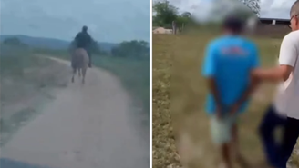 Polícia Civil de Alagoas prende homem por estupro no interior de Alagoas