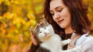 Descubra o significado espiritual da cor do seu gato. Entenda como o seu pet atrai proteção, prosperidade e cura emocional para o seu momento