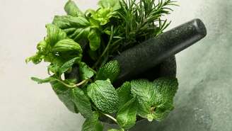 Aprenda a usar ervas mornas como alecrim e manjericão para equilibrar sua energia, atrair prosperidade e destravar caminhos com a fitoenergética