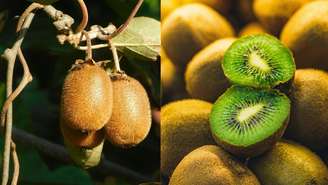Quer ter um pé de kiwi em casa? Veja as dicas