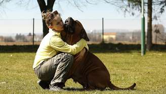 Estudo revela que brincar de forma interativa fortalece o vínculo com o cachorro mais do que jogos simples como jogar bolinha