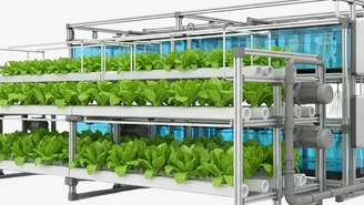 A agricultura urbana é realizada em pequenas áreas dentro de uma cidade, ou no seu entorno