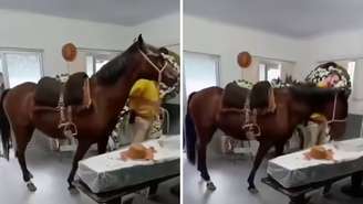 Égua Nina se despediu de tutor em velório, emocionando familiares