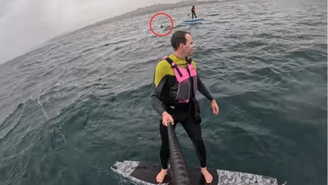 Surfista é perseguido por tubarão enquanto praticava esporte na Califórnia