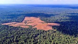 Imagem aérea indica desmatamento da Amazônia no Pará. (14/11/2025)