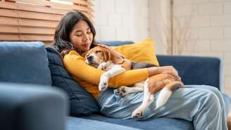 Entenda a relação materna com seu pet