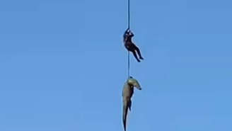 Policial é içado por helicóptero após capturar crocodilo na África do Sul