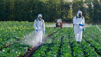Pesquisas recentes chamam atenção para um detalhe pouco conhecido: a mesma bactéria que contribui para esse aroma característico também pode produzir toxinas com potencial uso como inseticidas biológicos – depositphotos.com / Natty88