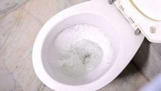 Nas redes sociais, o gelo no vaso sanitário viralizou como uma forma de garantir a manutenção do banheiro entre as limpezas mais pesadas