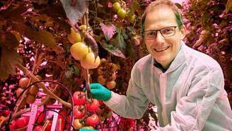 O professor Leo Marcelis é chefe do grupo de Horticultura e Fisiologia Vegetal da Universidade de Wageningen