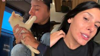 Veja o que fazer com alergia a pets