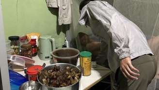 Imagem divulgada pelo MPT após a fiscalização: trabalhadores dormiam em estrados de madeira e locais com estrutura precária