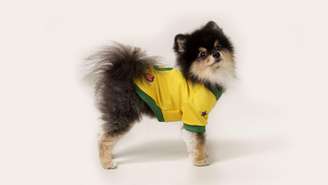 Veja os nomes de jogadores mais comuns entre os pets