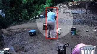 Casal é denunciado por matar cão a golpes de picareta