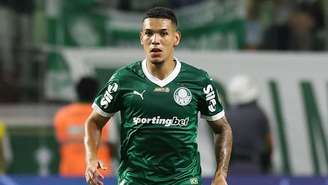 Cesar Greco / Palmeiras