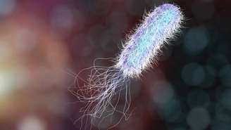 A Pseudomonas aeruginosa é um indicador importante de falhas em processos de higienização e controle de qualidade – depositphotos.com / katerynakon