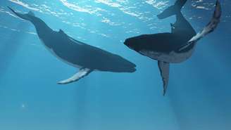 Longe de serem apenas habitantes dos oceanos, elas funcionam como aliadas discretas na captura e no armazenamento de carbono, ajudando a regular o clima em escala planetária – depositphotos.com / CoreyFord
