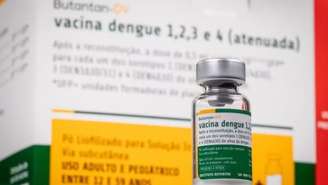 Governo paralisa vacina da dengue: veja os motivos