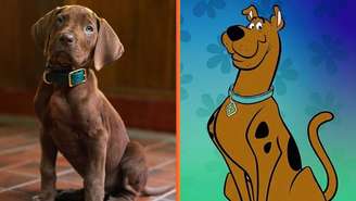 Scoob Doo.