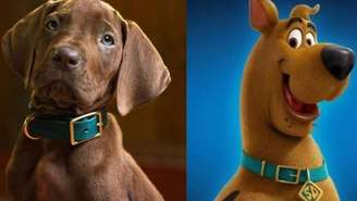 A Netflix divulgou as primeiras imagens de "Scooby