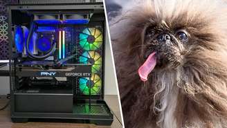 Cachorro dispara arma acidentalmente e PC gamer salva dono de possível tragédia