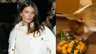 Isabeli Fontana encomenda refeição especial para os cães em hotel de luxo e mostra como os pets têm conquistado cada vez mais espaço 