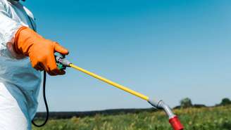 Por ser eficaz, relativamente barato, o glifosato se tornou um pilar da agricultura moderna em diversos países. – depositphotos.com / IgorVetushko