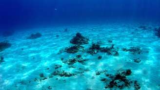 Fundo do mar -