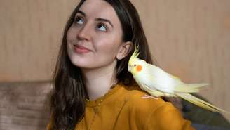A criação de pássaros em ambiente doméstico se tornou cada vez mais comum no Brasil, seja por tradição cultural, seja pelo interesse em espécies de canto e plumagem marcante – depositphotos.com / Daria_vg