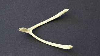 Entre os muitos símbolos de sorte presentes em diferentes culturas, o chamado wishbone, ou “osso da sorte”, ocupa um espaço curioso – depositphotos.com / Dimijana