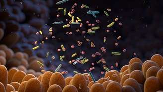 O estudo indica que certos compostos presentes em alimentos comuns podem ser transformados pelo organismo em moléculas com papel relevante na defesa do intestino, sem propor esses alimentos como tratamento isolado ou cura – depositphotos.com / iLexx