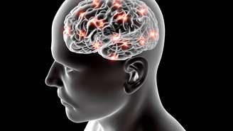 Durante décadas, a explicação dominante para a formação de estruturas cerebrais complexas enfatizou gradientes químicos. _depositphotos.com / vampy1
