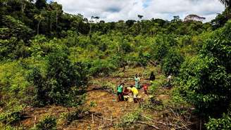 Na área da floresta tropical de Kelly Johanna Yucunatudo, tudo, desde a escolha do local até a localização de cada planta, tem uma ordem e um propósito