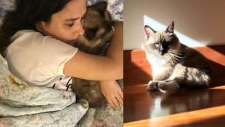 Tata Werneck emociona ao anunciar a morte do gato Chico e relembra a história de superação e os nove anos que viveram juntos