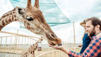 om o passar de muitas gerações, essas características vantajosas se mantêm e se espalham na população._depositphotos.com / AllaSerebrina