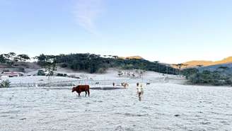 A quarta-feira, 8, começou com geada e temperatura mínima de -3,3°C, segundo dados da Epagri/Ciram, em Urubici (SC)