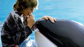 'Free Willy' ganhará spin